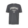S.OLIVER T-SHIRT GREY