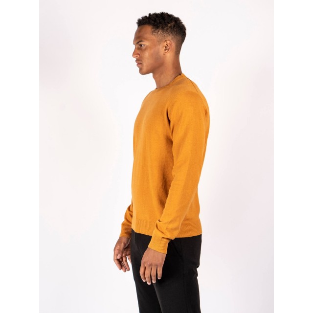 MARCUS sweater yellow / croqui color